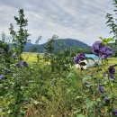 자옥농장 이미지