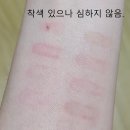 허니베어팜스탠드 | 포인트!(누카다미아, 베어 크레이프, 쥬쥬브, 멀드...피치미, 보늬밤, 태니 구아바 제품 정보, 솔직 후기)