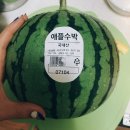 국수세탁소 이미지