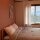 브로콜리 민박 이미지