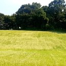 선학역 1번출구 이미지