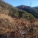 대현리경로당 네이버블로그