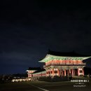 춘양교 | 경주 국가유산 "월정교" 꼭 직접 야간에.. 두눈으로 .. 보세요!!