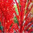 과일사탕탕후루 이미지