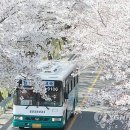 물레떡방앗간 이미지