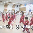 추산태권도장 네이버블로그