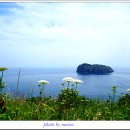 섬목 관음도 이미지