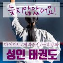 프라임 태권도 이미지