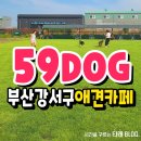 강서구-59 이미지