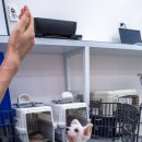 폴인럽 애견&고양이 미용 돌봄&호텔 이미지