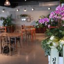 최진희 아트카페 이미지