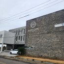 루시드엠 이미지