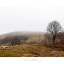 정인목장 이미지