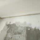 고봉로 351-17 네이버블로그
