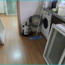 365특수청소