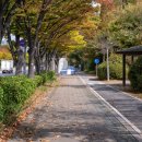 동막역 1번출구 이미지