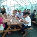 무궁화농장 이미지