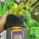 홍주농장 이미지