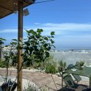 금두꺼비 민박 이미지