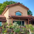 바람꽃뜰 이미지