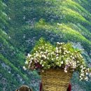 해피데이 이미지