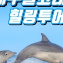 동일리-10 이미지