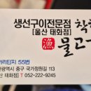 55번생선