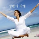 생활의지혜 이미지