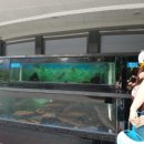 산나루식당 이미지