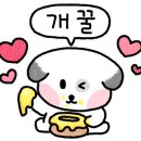 베베 애견유치원 이미지