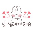 보나테이블 이미지