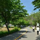 노와1리마을회관 이미지