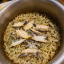 오션사우나헬스 이미지