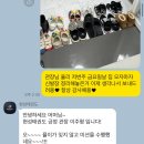 용인대 엘리트 태권도장 | 양주 옥정 용인대현성태권도:)