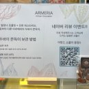 아르메리아 | 송도 두쫀쿠 맛집 아르메리아 두바이 쫀득 쿠키 솔직 후기 (웨이팅 필수)