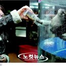 씨월드수족관 이미지