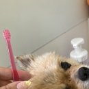 살롱드베베 이미지