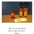 스파츄스 이미지