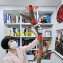 의성한의원 | [부천 공진단 한의원] 공진단 효능, 이런 분들께 추천드립니다