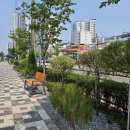 매소홀로 이미지