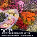 이수인헤어 | [7월] 여름 한 컵, 7월의 후기