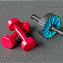 하이드파크 이미지