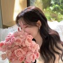 하하헤어살롱 | 부겐빌리아 스튜디오 헤어변형 [연둣빛살롱] 대만족 촬영 후기 (4시간, 신랑변형1회)