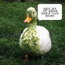 Agent Gym | 홍익대 교환학생 비미대 미국 CSULB #6. 개인경험 가득 넣은 꿀팁? 공유