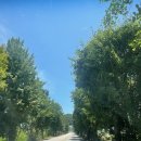 목도주민센터 앞 이미지