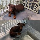 지용실 | 민락동미용실 지용실 가격 위치 영업시간