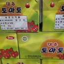 광산구-038 Daum카페