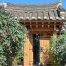 가야금(주간) | 서울 한옥스튜디오 예담헌 북촌점 아기 돌사진 돌스냅 촬영 후기