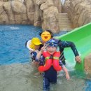 신천리슈퍼 | 영구스피자 신천리점 4색피자 슈프림 포장후기