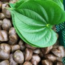 하나로농장 이미지